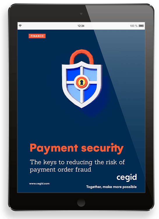 Ebook Payment security